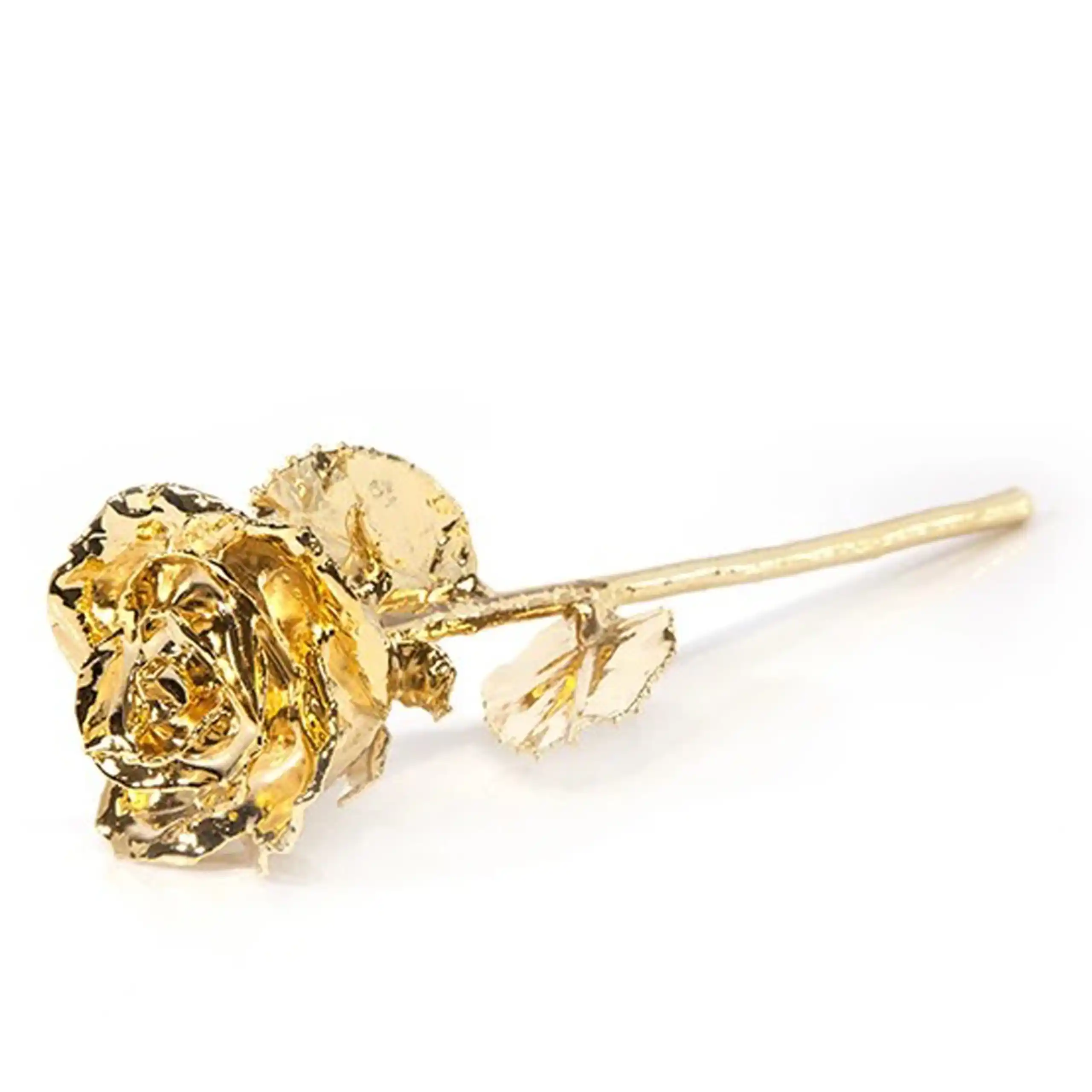 Leronza 24K Gold-Dipped Natural Rose