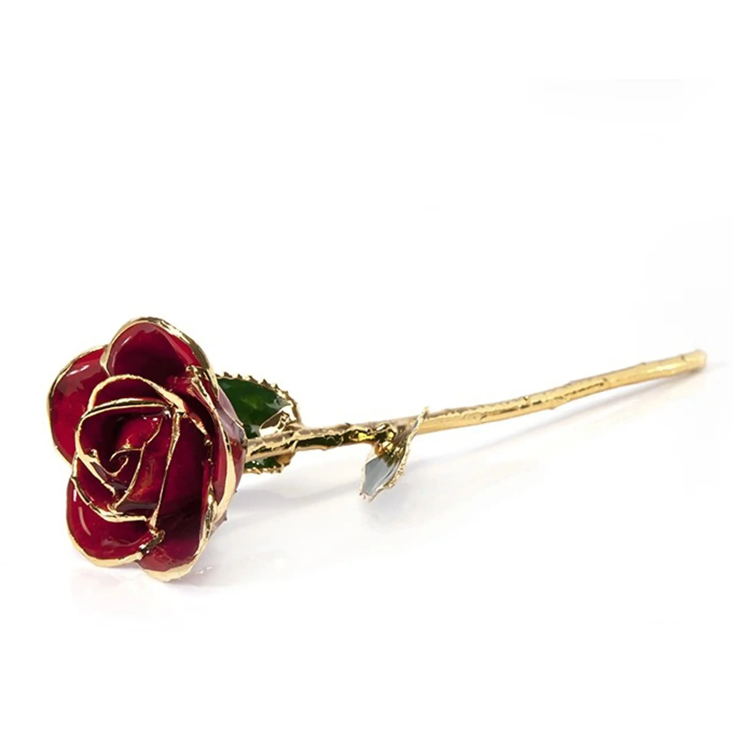Leronza 24k Gold-Dipped Natural Red Rose