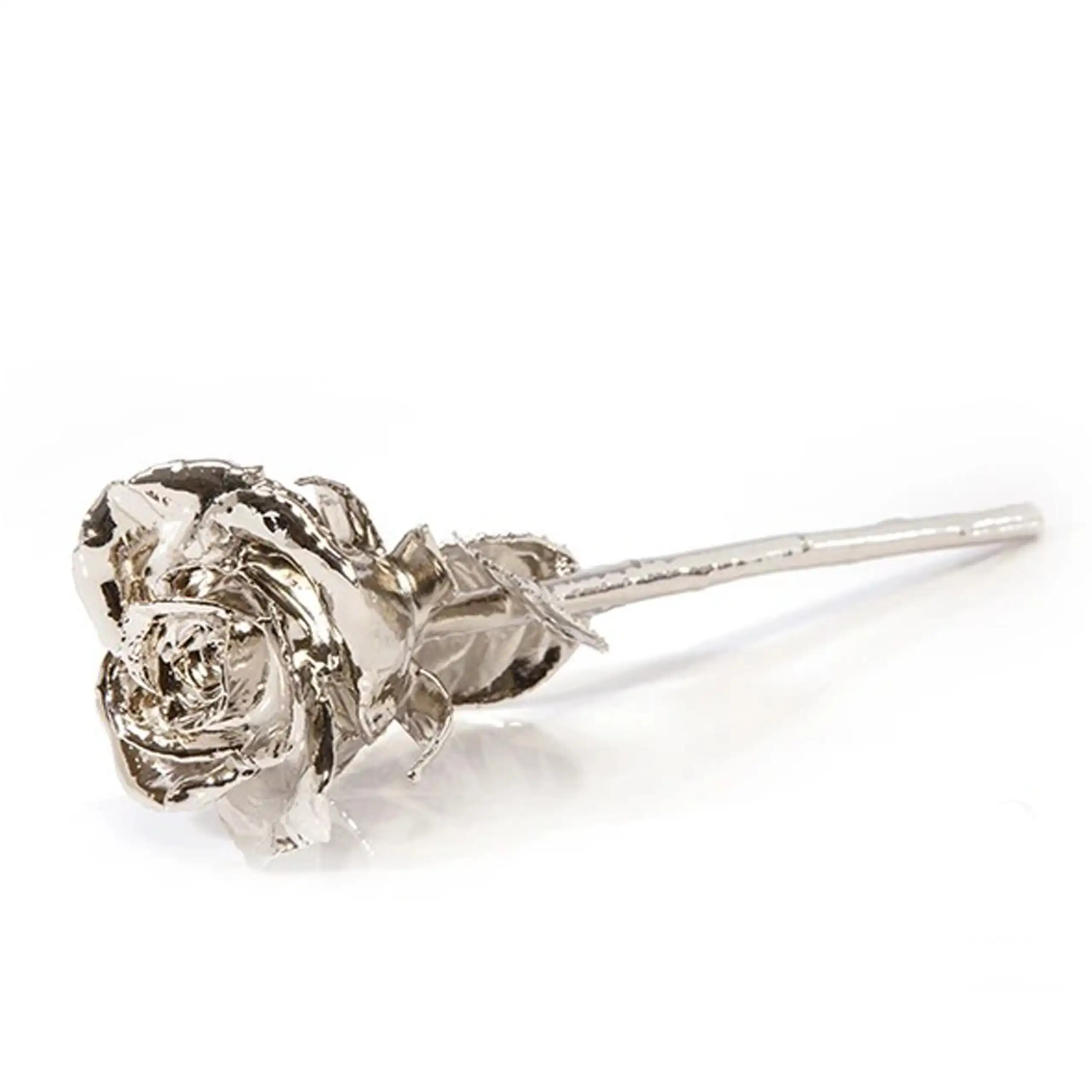 Leronza Platinum-Dipped Natural Rose